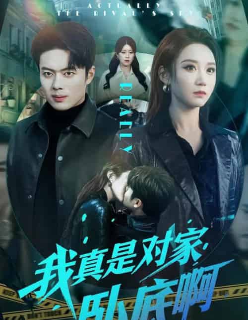 我真是对家卧底啊（100集全）林千仟＆韩一波-初遇资源网