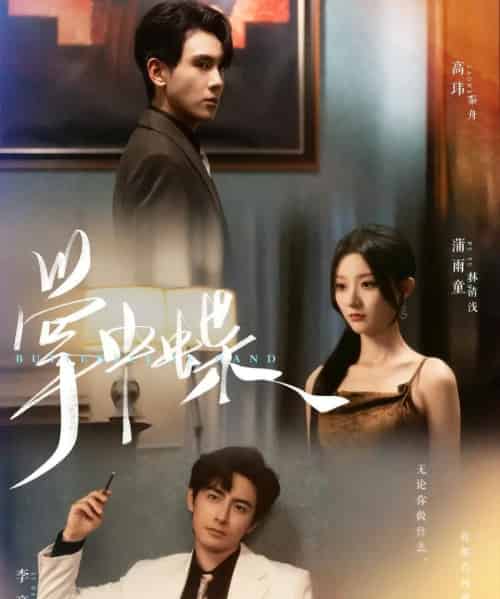 掌中蝶（84集）李豪＆蒲雨童-初遇资源网