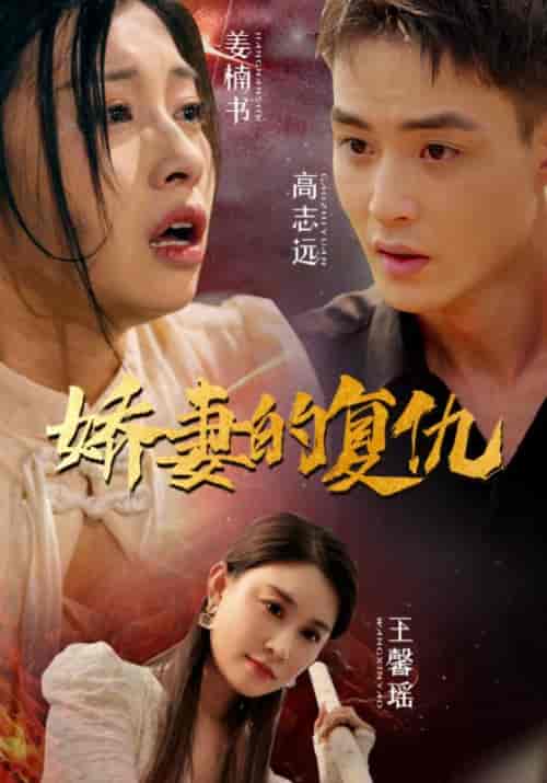 娇妻的复仇(30集)-初遇资源网