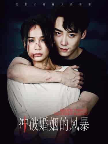 冲破婚姻的风暴(29集)-初遇资源网