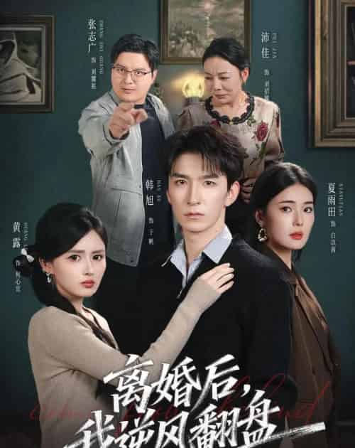 离婚后,我逆风翻盘(83集全)韩旭&黄露-初遇资源网