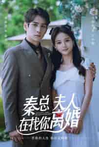 秦总，夫人在找你离婚（79集）马倩倩-初遇资源网