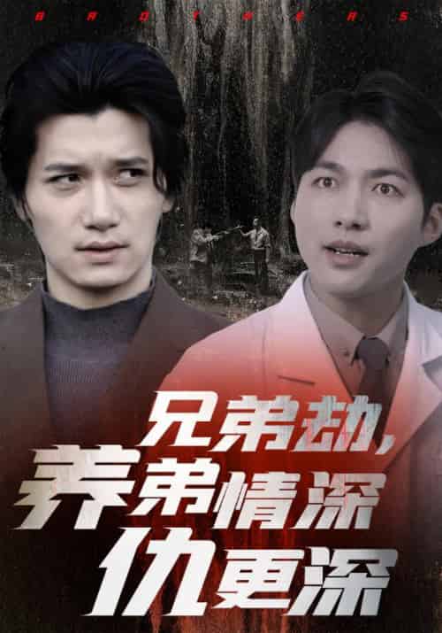 兄弟劫，养弟情深仇更深（35集全）萧凡＆萧云-初遇资源网