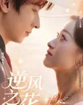 逆风之花（60集全）阿克朱力-初遇资源网