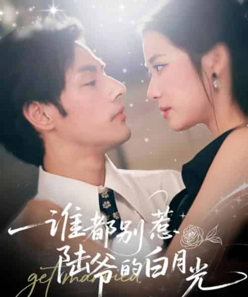 谁都别惹陆爷的白月光（79集全）潘子剑＆段柒萱-初遇资源网