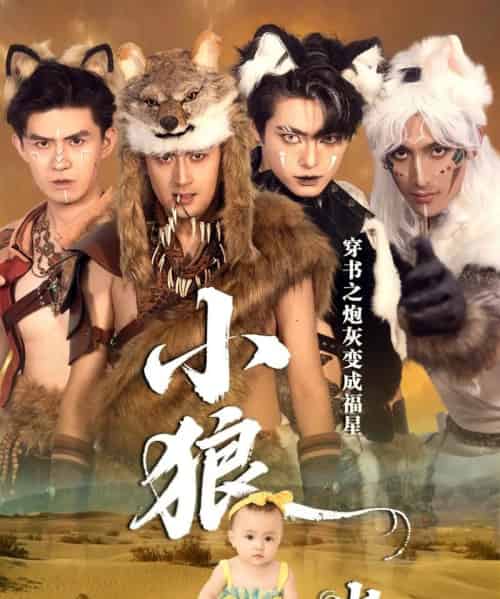 穿书之炮灰变成福星小狼崽(61集全)瓦日斯&苏美禾-初遇资源网