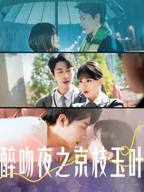 醉吻夜之京枝玉叶（90集全）张韫韬＆杨洁-初遇资源网