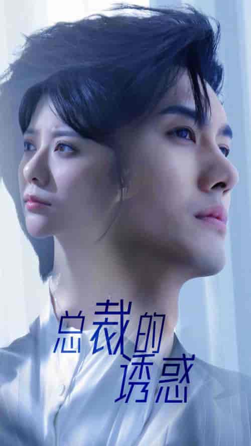 总裁的诱惑（82集）-初遇资源网