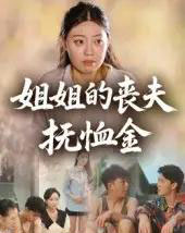 姐姐的丧夫抚恤金（40集）-初遇资源网