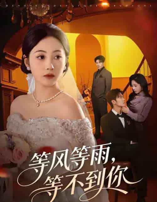 等风等雨,等不到你(65集全)陈京霖&曾和惠子-初遇资源网