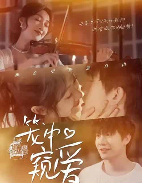 笼中窥爱（68集全）陈敬德＆海依凡-初遇资源网