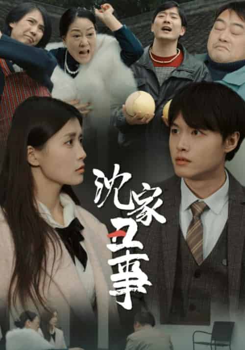 沈家丑事（24集全）沈叶风＆林佳音-初遇资源网