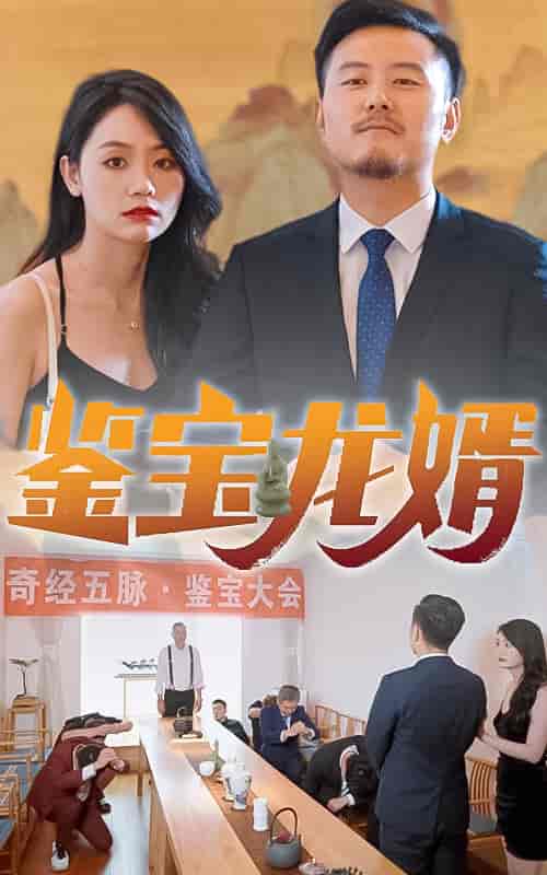 鉴宝龙婿-80集-初遇资源网