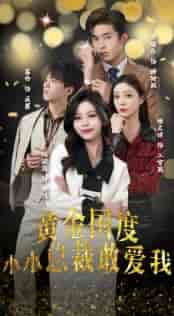 黄金国度小小总裁敢爱我＆试婚后，总裁玩命要娶我（83集）-初遇资源网