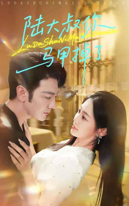 陆大叔你马甲掉了（100集）尹玲（尹喜善）-初遇资源网