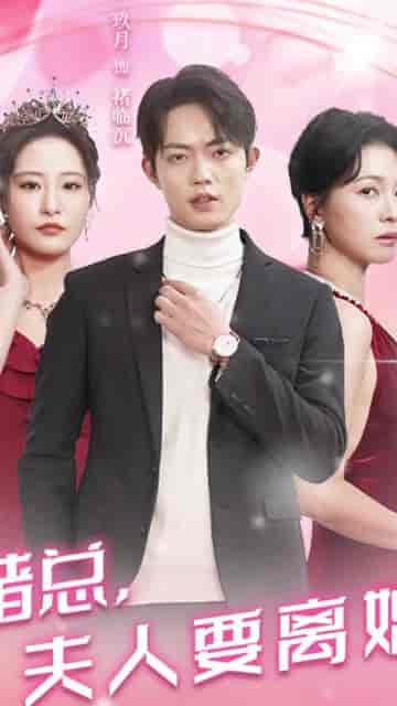 褚总夫人要离婚（94集）-初遇资源网