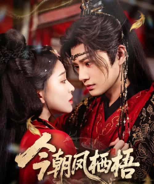 今朝凤栖梧(68集全)柳甯&韩录锦-初遇资源网