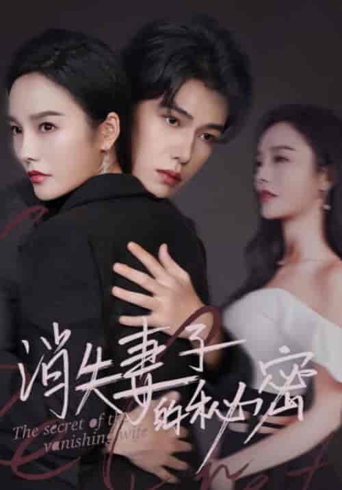 消失妻子的秘密（60集全）苏译＆梁云歌-初遇资源网