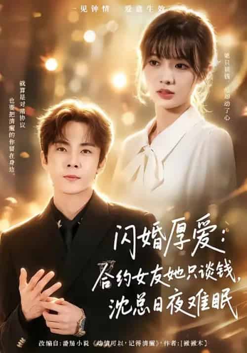 闪婚厚爱:合约女友她只谈钱,沈总日夜难眠(80集全)张天方&王靖雯-初遇资源网