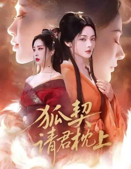 狐契:请君枕上(81集全)毛祁生&觅七-初遇资源网