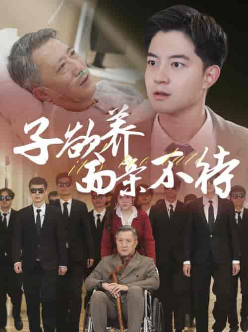 子欲养而亲不待（70集全）-初遇资源网