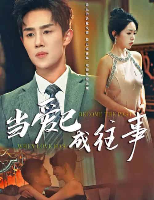 当爱已成往事（28集全）马士尧-初遇资源网