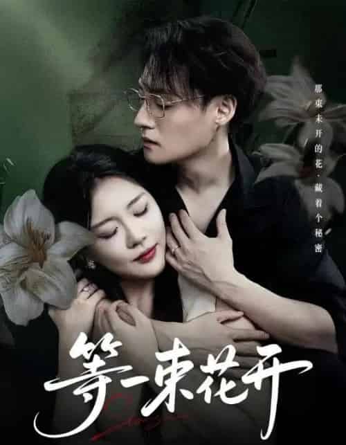 等一束花开(71集全)安敏&强宇-初遇资源网
