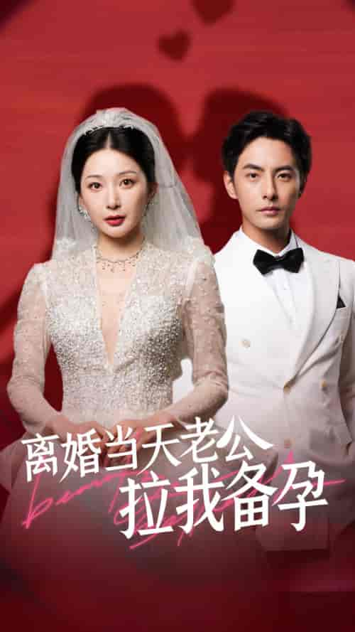 离婚当天老公拉我备孕（68集）初五-初遇资源网