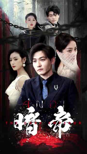 暗帝＆大夏帝骄（84集）-初遇资源网