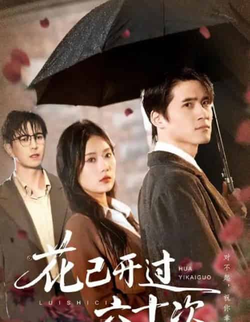 花已开过六十次＆情敌交手她选择躺赢（72集全）傅汉源＆赵佳欣-初遇资源网