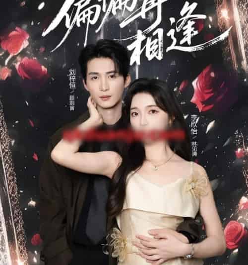 偏偏再相逢（54集全）刘梓恒＆李欣怡-初遇资源网