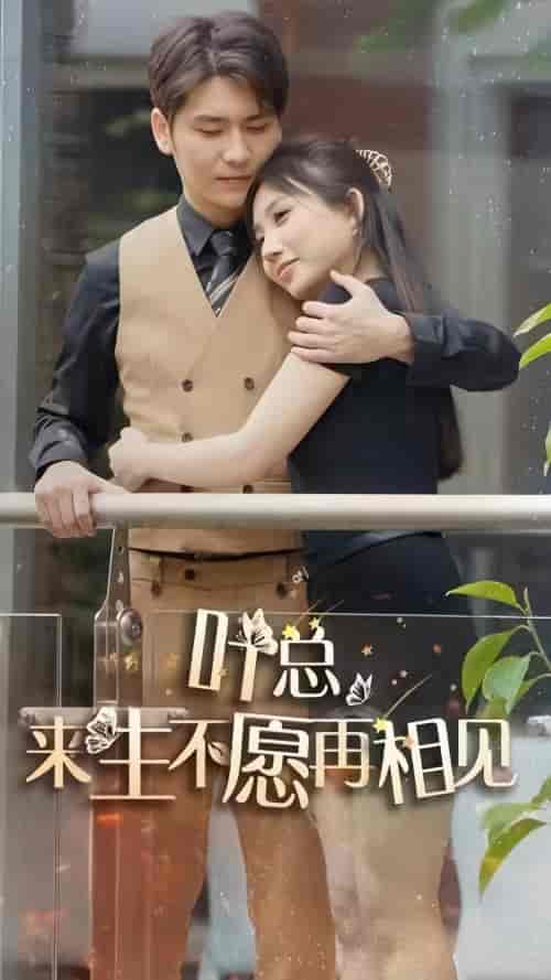 叶总来生不愿再相见（74集）-初遇资源网
