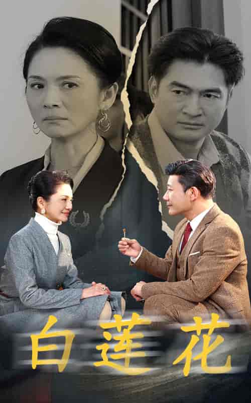 白莲花（40集全）-初遇资源网