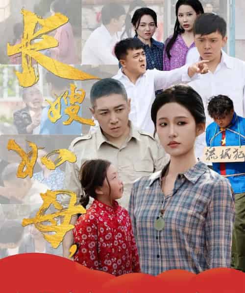 长嫂如母自带空间养活小叔子（72集）-初遇资源网