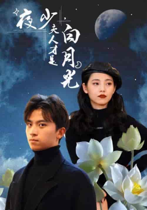 夜少，夫人才是白月光（101集全）夜南天＆慕容嫣-初遇资源网