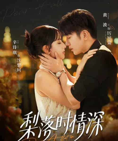 梨落时情深(60集全)黄波&辛诗琪-初遇资源网