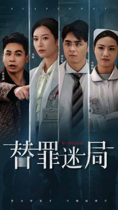 替罪迷局（42集全）-初遇资源网