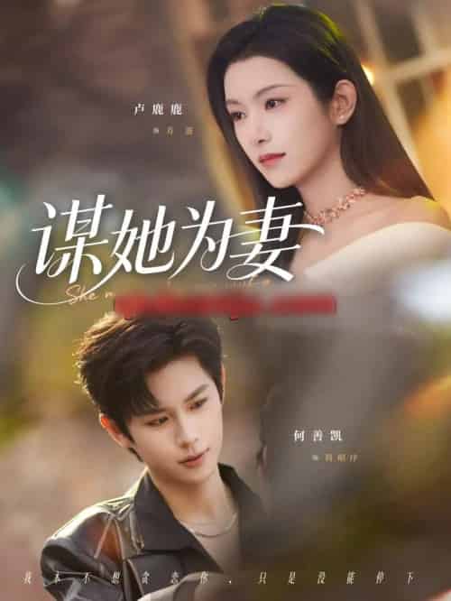 谋她为妻（82集全）何善凯＆卢鹿鹿-初遇资源网