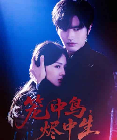 笼中鸟，烬中生（60集全）罗正＆郑初晨-初遇资源网