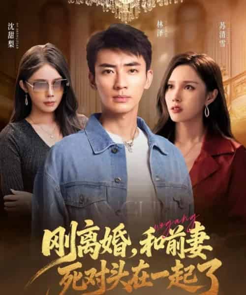 刚离婚和前妻死对头在一起 （73集）-初遇资源网