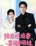 陆总忙追妻喜提四萌娃(60集全)杨晓婷-初遇资源网