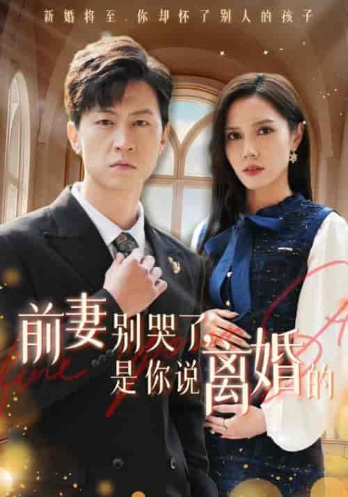前妻别哭了，是你说离婚的（42集全）陆辰＆柳如烟-初遇资源网