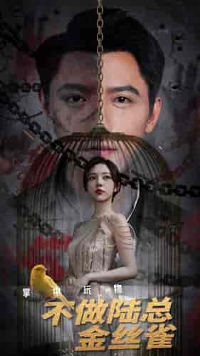 掌中玩物不做陆总金丝雀（90集）朱茉颜-初遇资源网