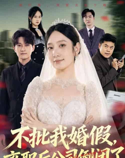不批我婚假,离职后公司倒闭了(61集全)陈琳煜&海睿-初遇资源网