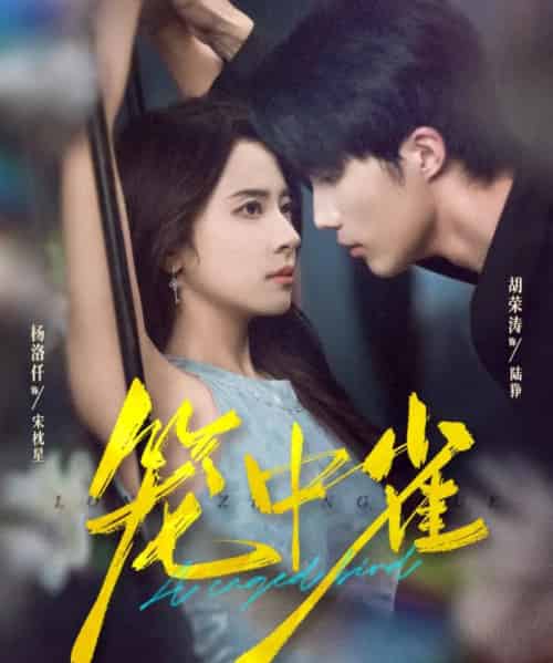 笼中雀(65集全)胡荣涛&杨洛仟-初遇资源网