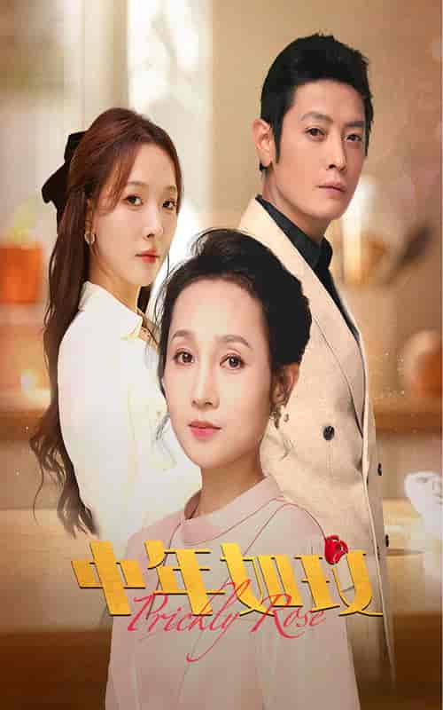 中年如玫（68集全）-初遇资源网