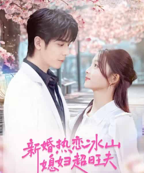 新婚热恋冰山媳妇超旺夫（60集全）李嘉豪＆刘苗苗-初遇资源网
