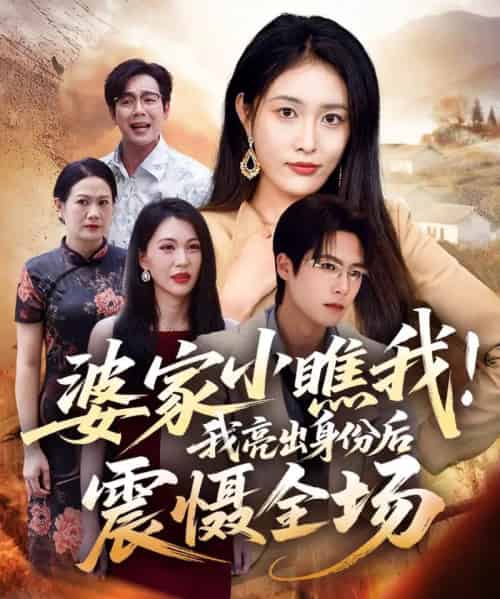 婆家小瞧我!我亮出身份后震慑全场(58集全)刘昌鑫(刘星辰)&于颢鑫-初遇资源网