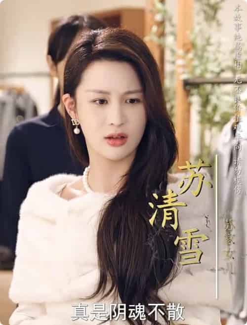 养母的秘密（34集全）-初遇资源网