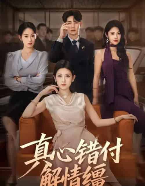 真心错付解情缰(71集全)薛海威&梅瑞滢-初遇资源网